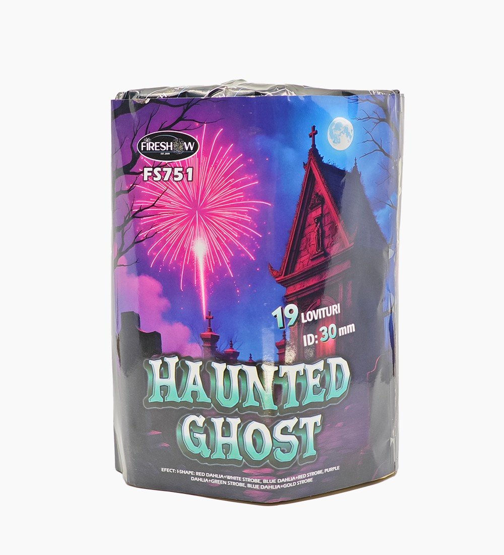 haunted-ghost-1.jpg