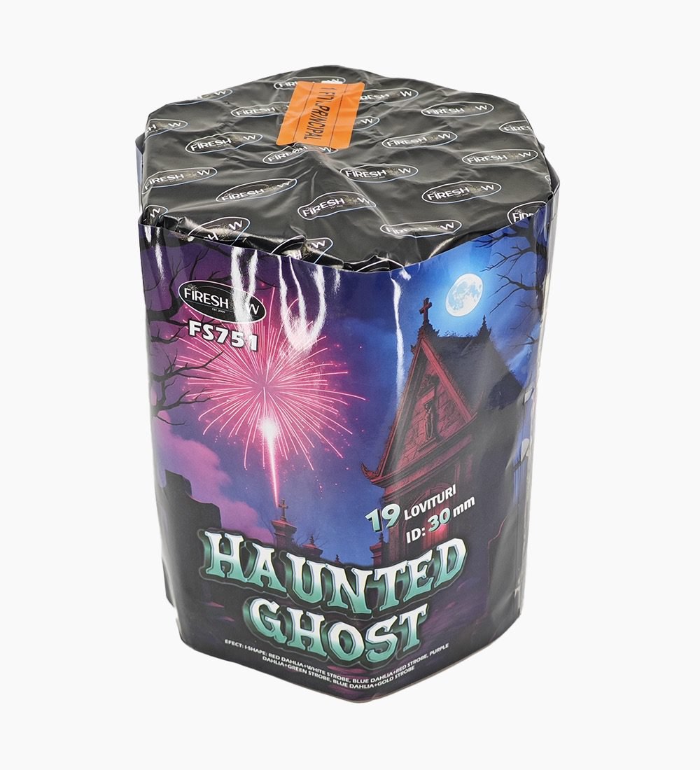 haunted-ghost-2.jpg