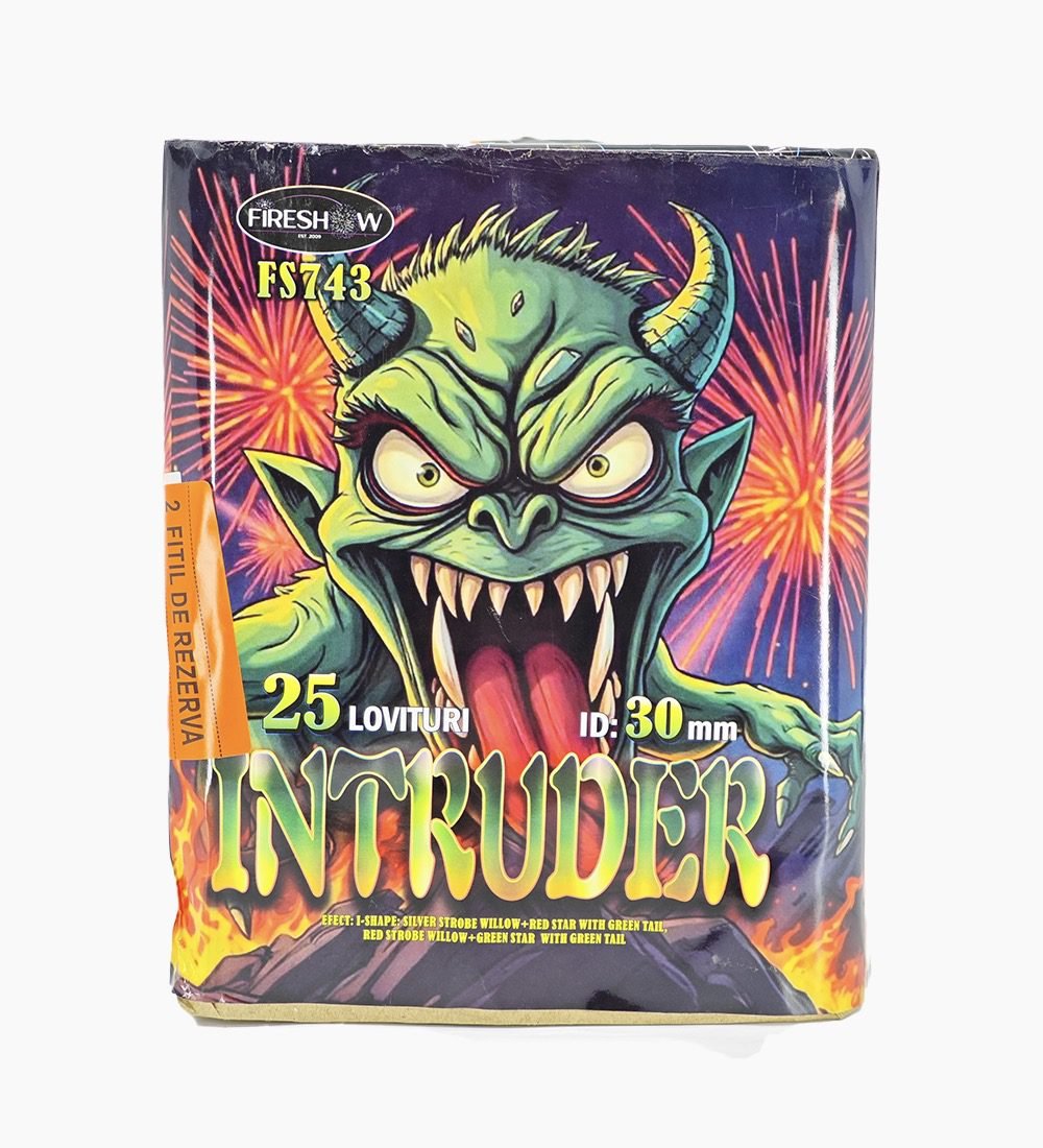 intruder-2.jpg
