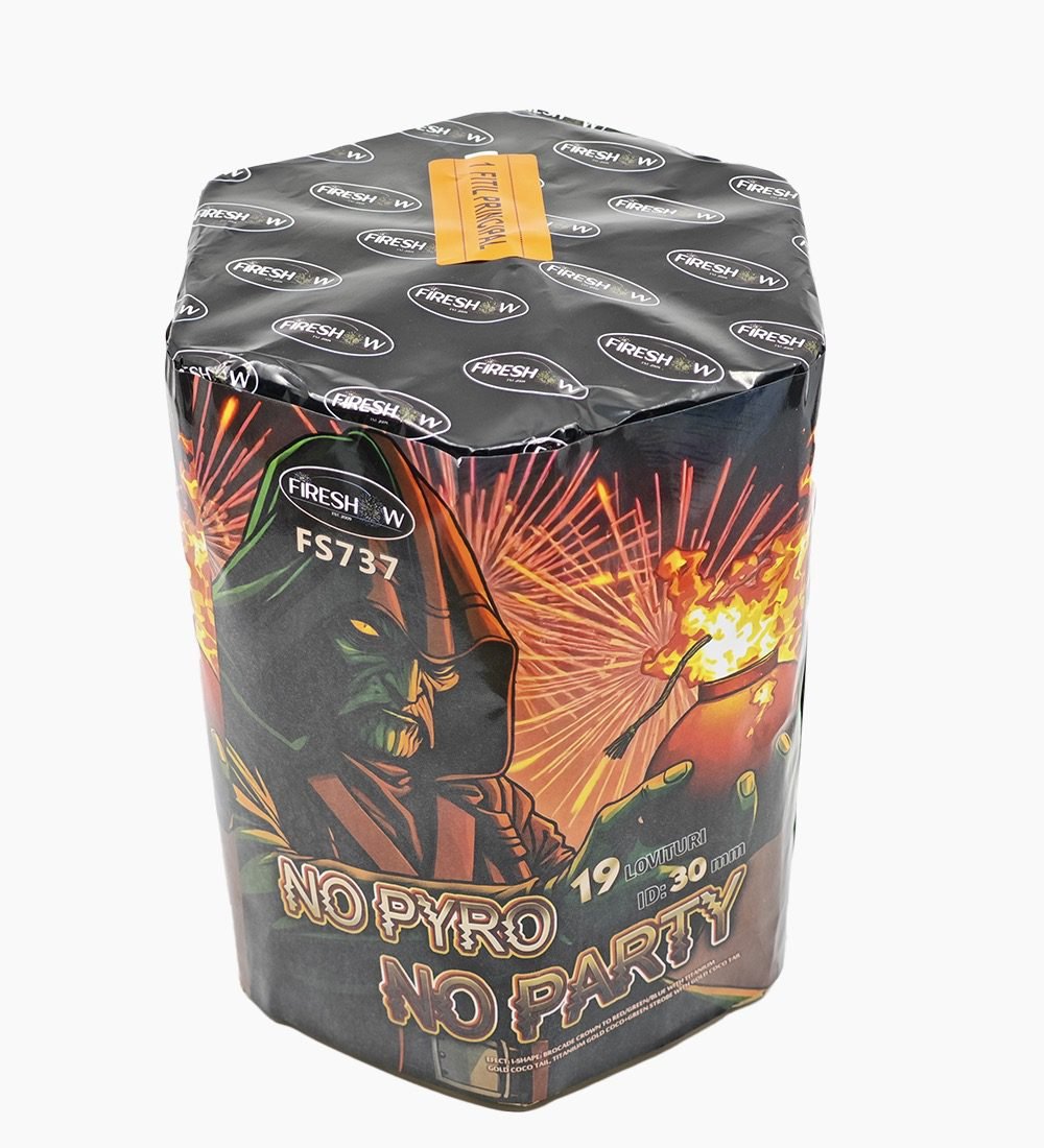 no-pyro-no-party-1.jpg