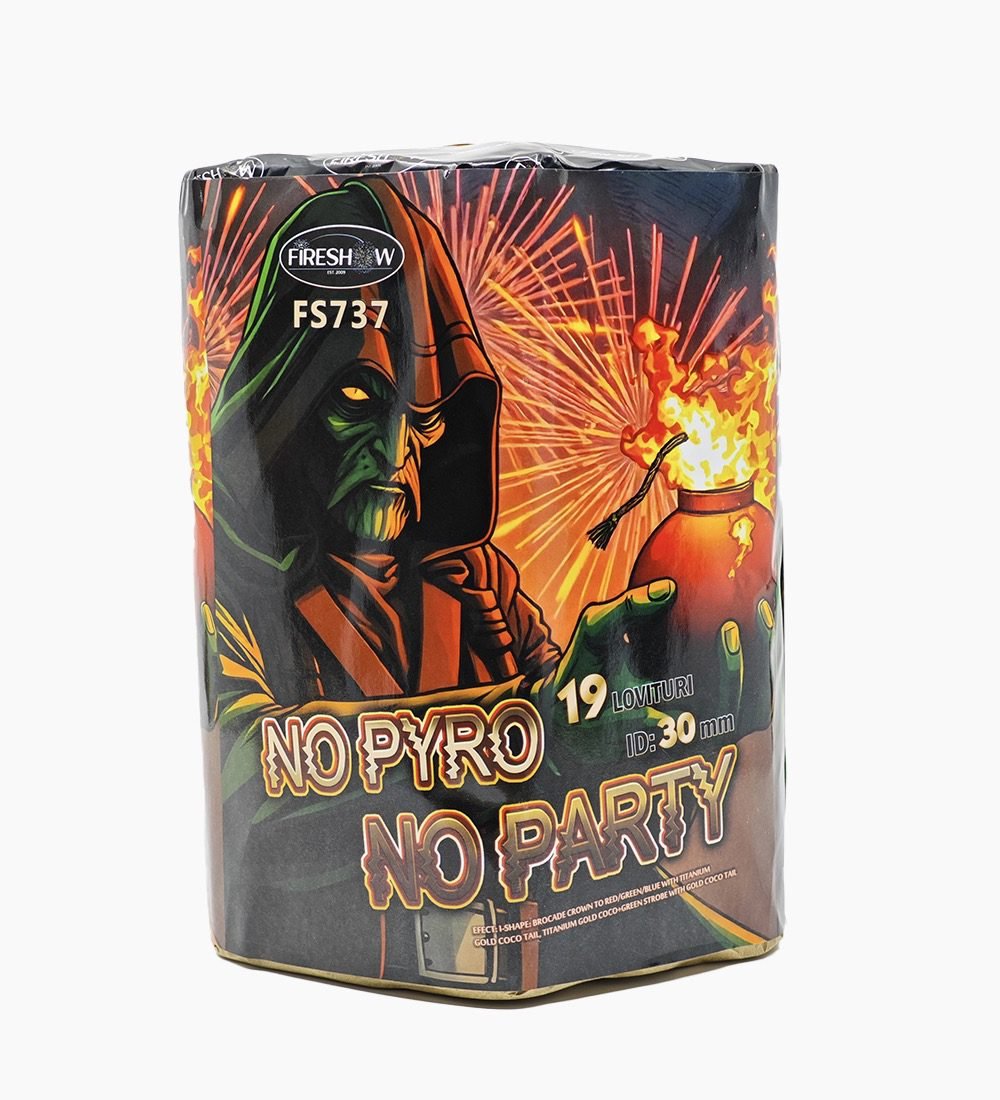 no-pyro-no-party-2.jpg